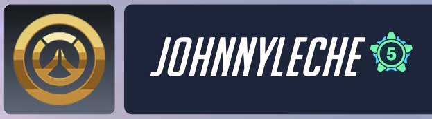 Overwatch player card for JOHNNYLECHE showing maximum Level 5 Endorsement rank